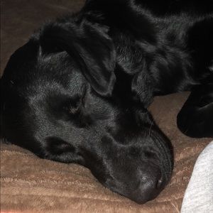 Meet your Posher, Tara